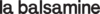 Balsamine_logo