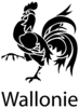 Wallonie_logo