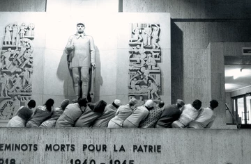 MossouxBonte_Baleine