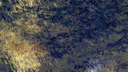 VenusRemix_Miroir