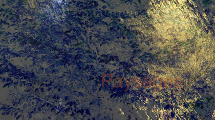 VenusRemix_PaysageOR