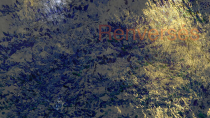 VenusRemix_RenverséOr