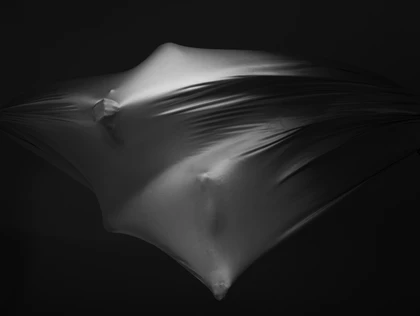 hemera2