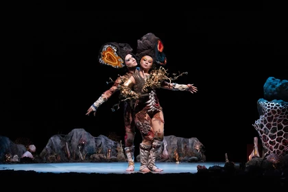  FrançoisChaignaudUltimoHelecho