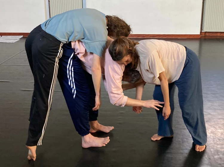 Keppens Anneleen - Body Mind Centering for Professional Dancers